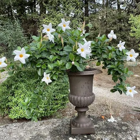 Le Chemin De Belle Fille Piscine Privative Chauffee Cassis